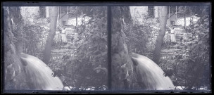 Jardin et cours d'eau dans une habitation.