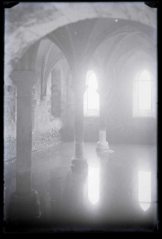 Ruines et vestiges de l'abbaye Notre-Dame-de-Fontaine-Guérard à Radepont (Eure).