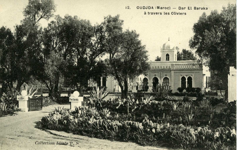 OUDJA (Maroc) - Dar El Baraka à travers les Oliviers