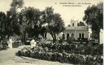 OUDJA (Maroc) - Dar El Baraka à travers les Oliviers