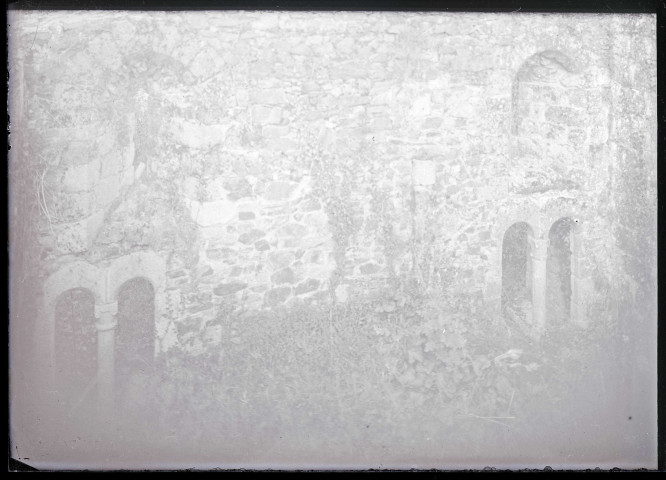 Ruines et vestiges des remparts du château de Fougères (Ille-et-Vilaine).