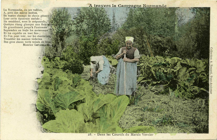 Divers. A travers la Campagne Normande. - Dans les Courtils du Marais Vernier.