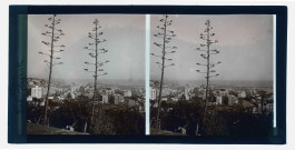 Vue générale d'Alger (Algérie).