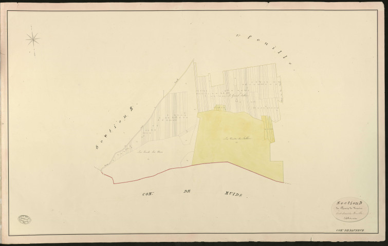 Daubeuf-près-Vatteville. Section D _ du Chemin de Verseine _ 2e et dernière Feuille