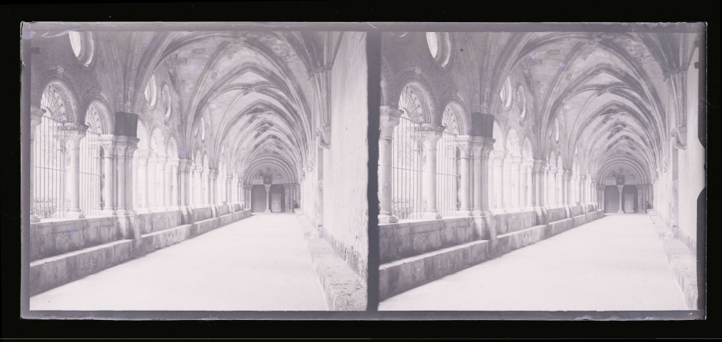 Galerie du cloître de la basilique Sainte-Eulalie de Barcelone (Espagne).