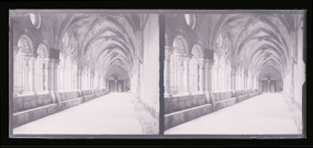 Galerie du cloître de la basilique Sainte-Eulalie de Barcelone (Espagne).