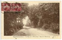 Rouge-Perriers. Le Bois de la Belle-Voie - Route du Neubourg.