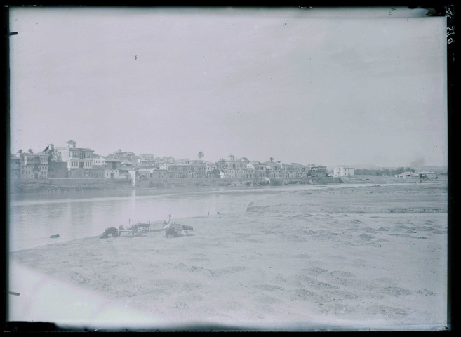 Vue de la ville d'Adana (Turquie) au bord du Seyhan.