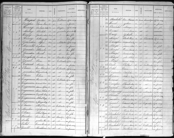 VIRONVAY 1891