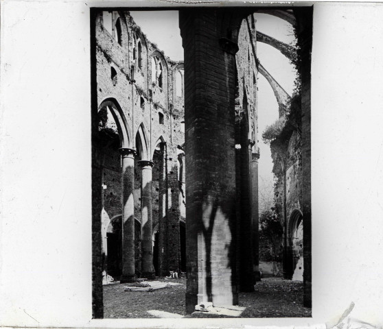 Ruines de l'abbaye de d'Hambye à Percy (Manche).