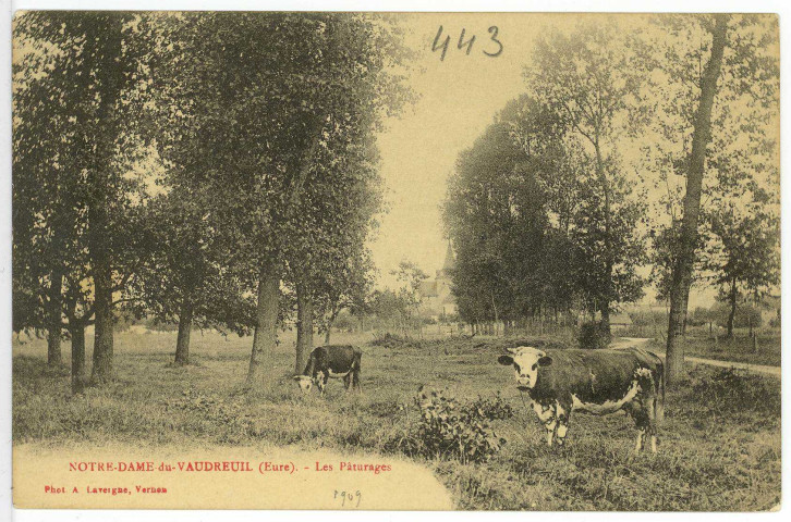 Notre-Dame-du-Vaudreuil. Les Pâturages.