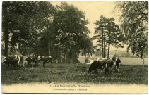 Divers. La Normandie illustrée. - Troupeau de Boeufs à l'herbage.