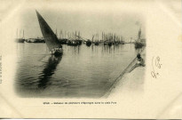 SFAX. - Bateaux de pêcheurs d'éponges dans le petit Port