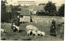Divers. Scènes de la Vie Normande. - Vous pouvez l'peser, j'l'on ben nourri !