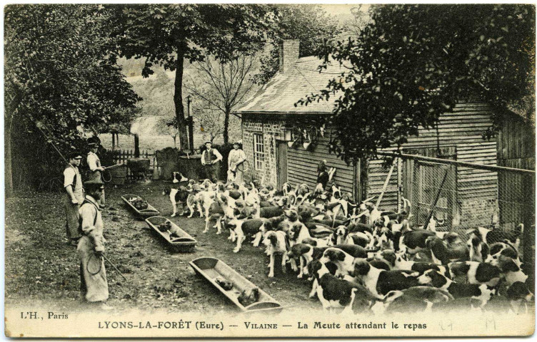 Lyons-la-Forêt. Vilaine - La Meute attendant le repas.