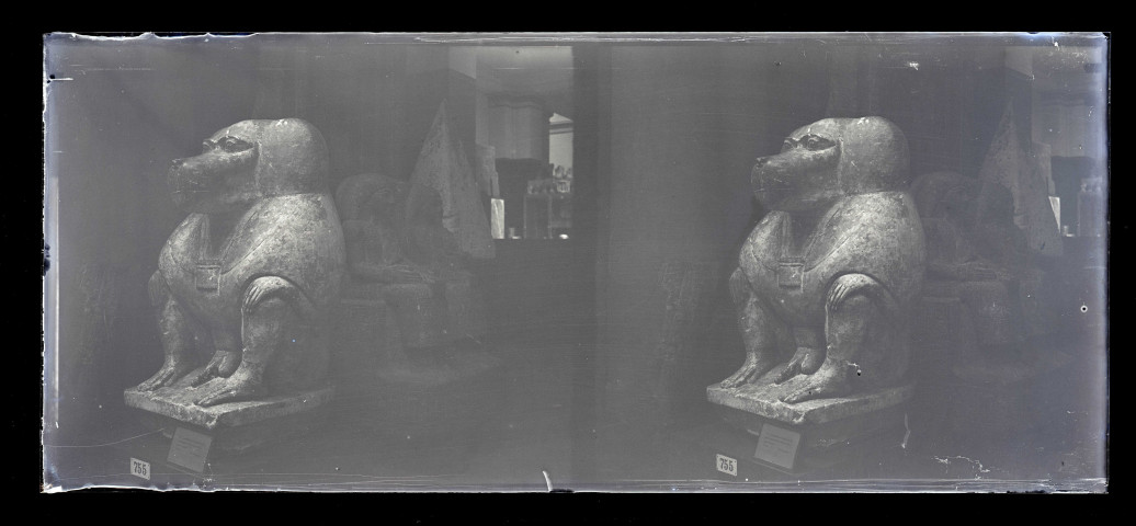 Salle et collections d'un musée égyptien.
