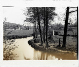 Campagne aux alentours des ruines de l'abbaye de d'Hambye à Percy (Manche).
