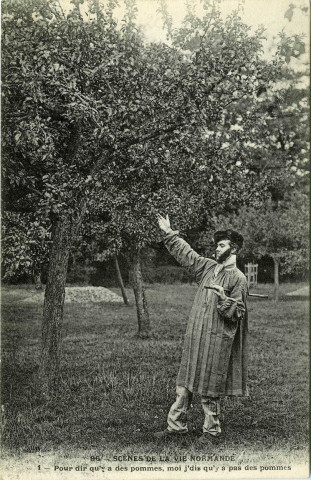 Divers. Scènes de la Vie Normande. - Pour dir qu'y a des pommes, moi j'dis qu'y a pas des pommes.