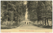 Muids. L'Avenue du Château.
