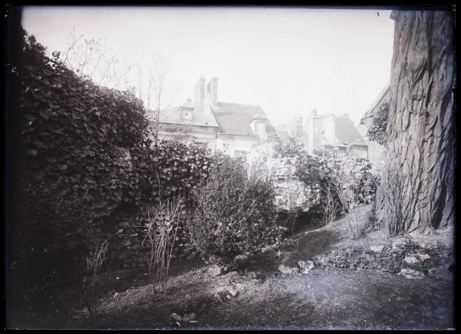 Jardin arboré.