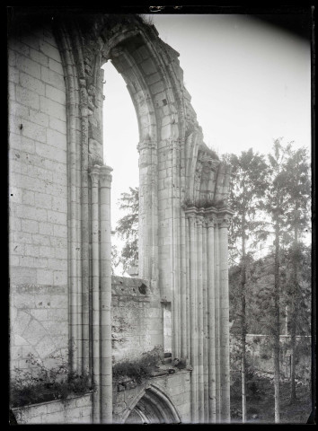 Ruines et vestiges de l'abbaye Notre-Dame de Fontenelle de Saint-Wandrille-Rançon (Seine-Maritime).