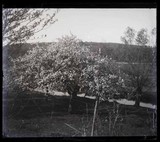 Rives de l'Iton.