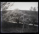 Rives de l'Iton.