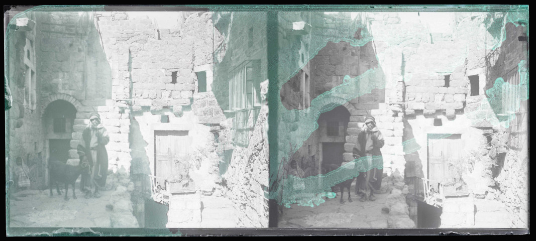 Bédouin et son bélier à l'intérieur de fortifications.