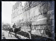 Enfant et son âne sur un chemin menant aux ruines du sanctuaire de Bacchus à Baalbeck (Liban).
