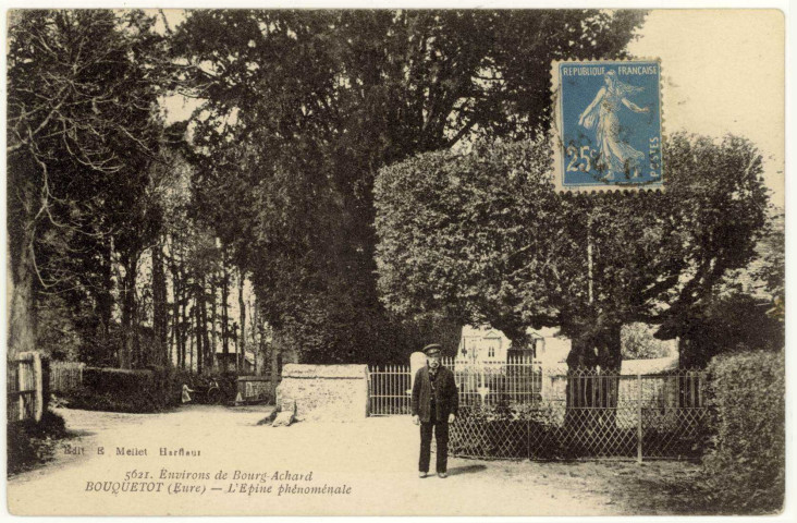 Bouquetot. L'Epine phénoménale.