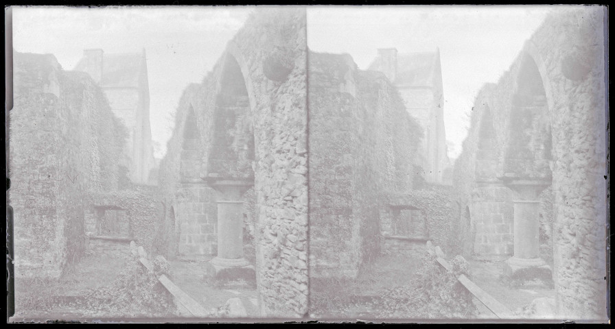 Ruines du premier château de Fougères (Ille-et-Vilaine).