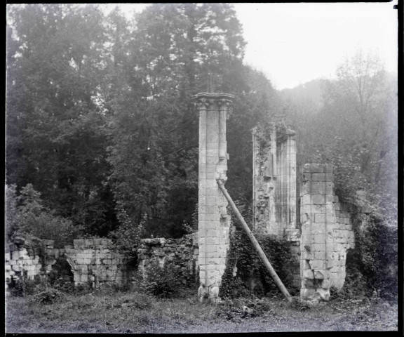 Ruines et vestiges de l'abbaye de Jumièges (Seine-Maritime).