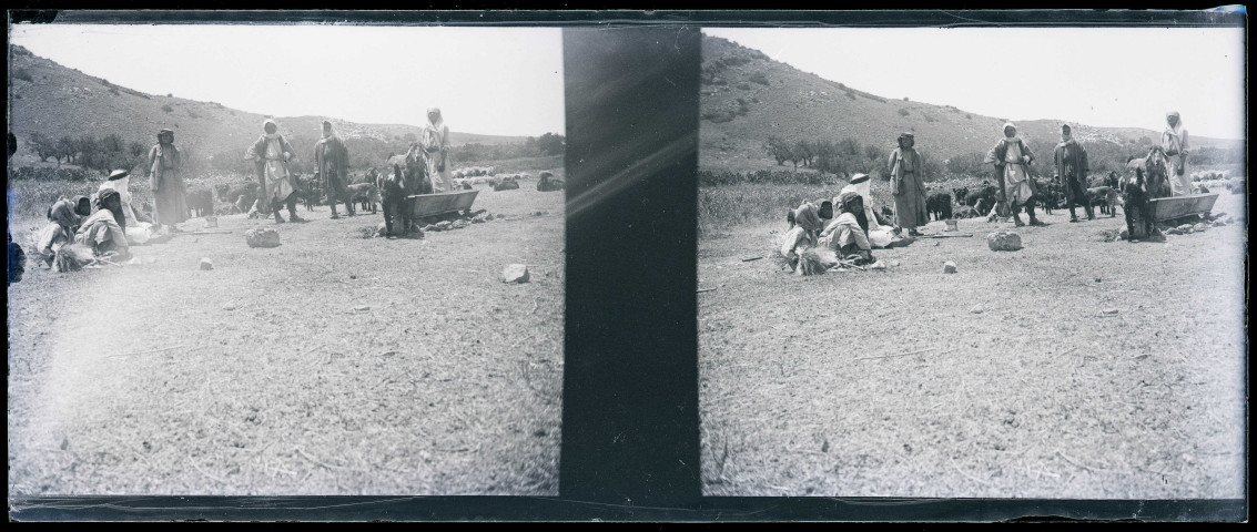 Bergers et leurs troupeaux à l'abreuvoir.