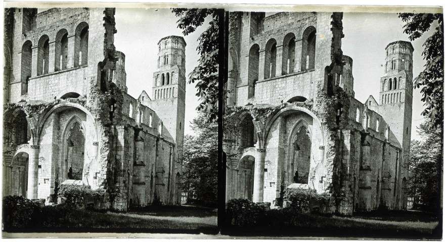 Ruines de l'abbaye de Jumièges (Seine-Maritime).