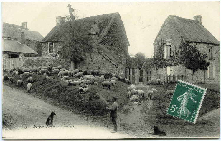 Divers. Berger Normand.