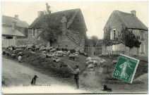 Divers. Berger Normand.