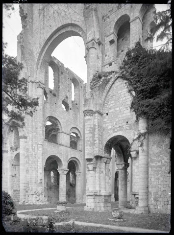 Ruines et vestiges de l'abbaye de Jumièges (Seine-Maritime).