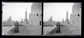 Vue générale du Caire (Égypte) et de ses minarets.