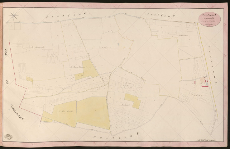 Authevernes. Section D _ de la Martinelle _ 1re de 2 Feuilles