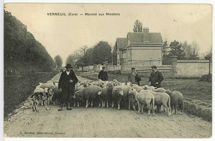Verneuil-sur-Avre. Marché aux moutons.