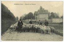 Verneuil-sur-Avre. Marché aux moutons.
