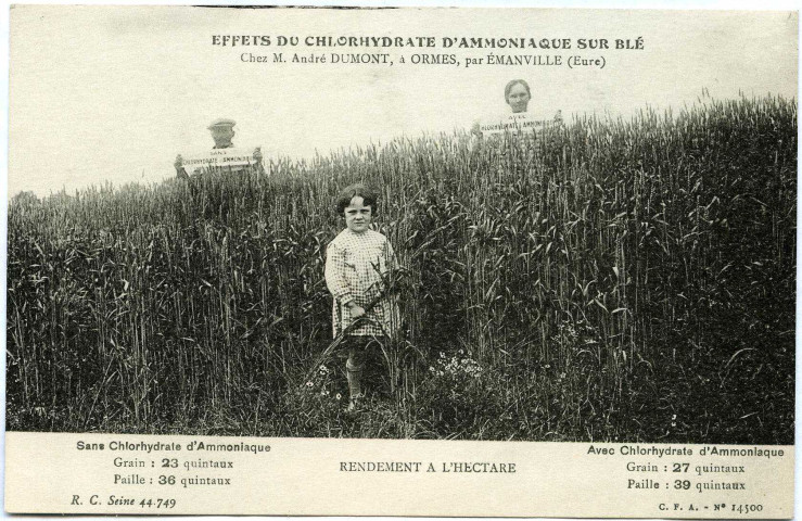 Ormes. Effets du Chlorhydrate d'ammoniaque sur le blé chez Mr Dumont à Ormes.