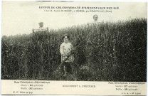 Ormes. Effets du Chlorhydrate d'ammoniaque sur le blé chez Mr Dumont à Ormes.