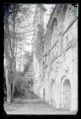Ruines de l'abbaye de Mortemer (Lisors, Eure).