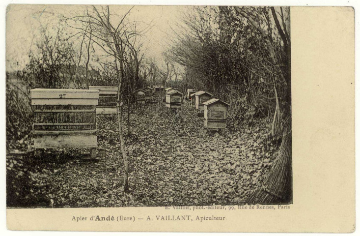 Andé. Apier d'Andé-A. VAILLANT, Apiculteur.
