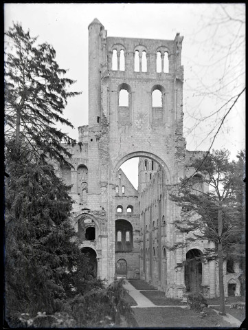 Tour et pignons des ruines et vestiges de l'abbaye de Jumièges (Seine-Maritime).