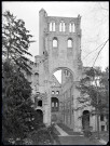 Tour et pignons des ruines et vestiges de l'abbaye de Jumièges (Seine-Maritime).