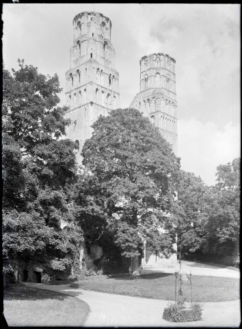 Tour et pignons des ruines et vestiges de l'abbaye de Jumièges (Seine-Maritime).