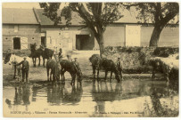 Ecouis. Villerest-Ferme Normande-Abreuvoir.