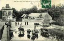Daubeuf-près-Vatteville. Daubeuf-près-Watteville (Eure). - L'abreuvoir.